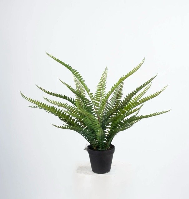 2372-iskusstvennyi-paporotnik-boston-50-cm-floraby